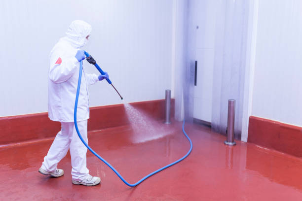 Best Driveway Pressure Washing  in Big Bear Lake, CA